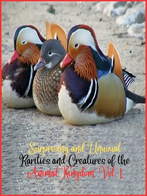 cover image of Surprising and unusual rarities and creatures of the Animal Kingdom. Volume 1